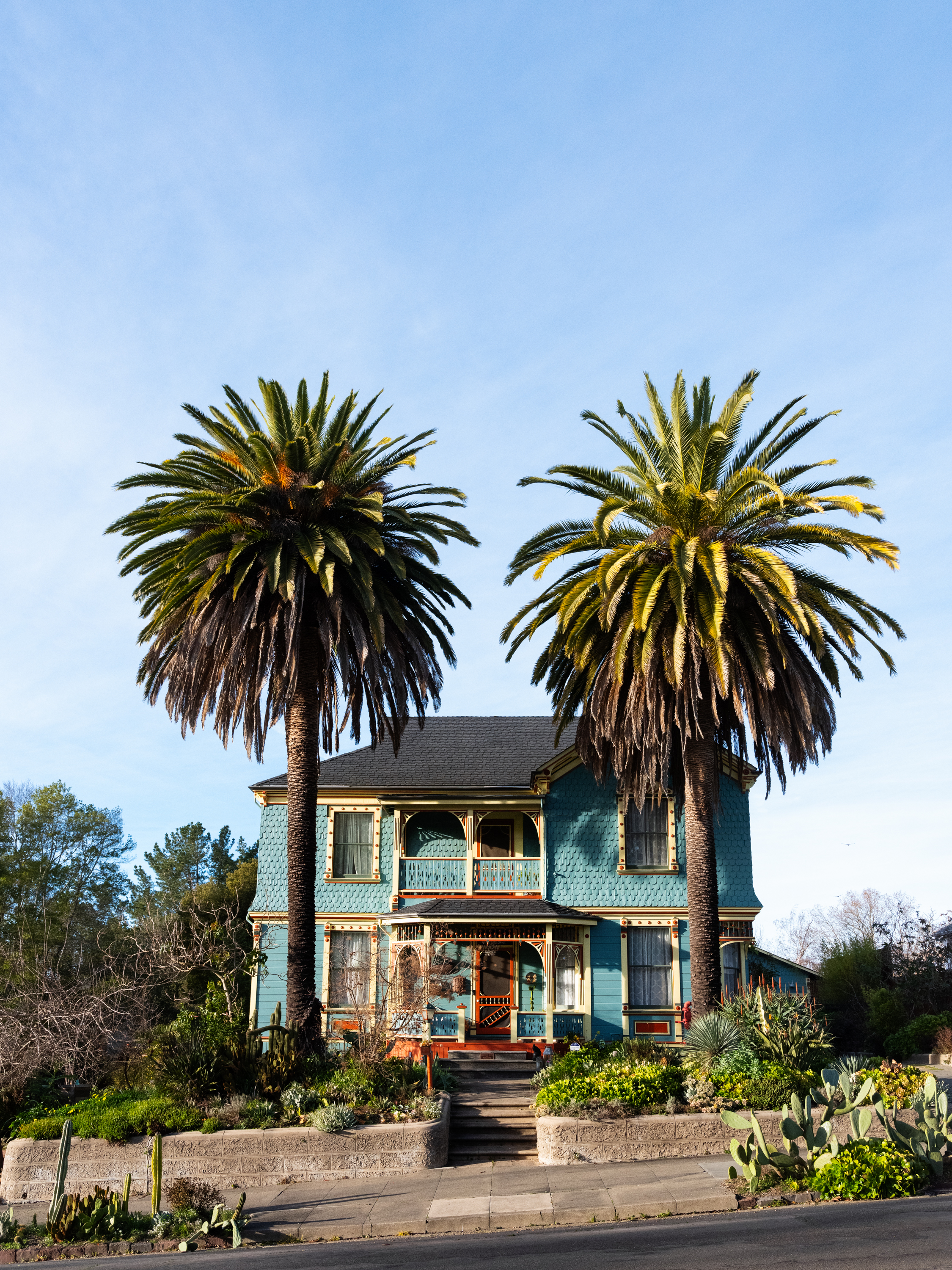 01_012122_HallPetaluma_SonomaMag_ERoche_133EDIT.JPG