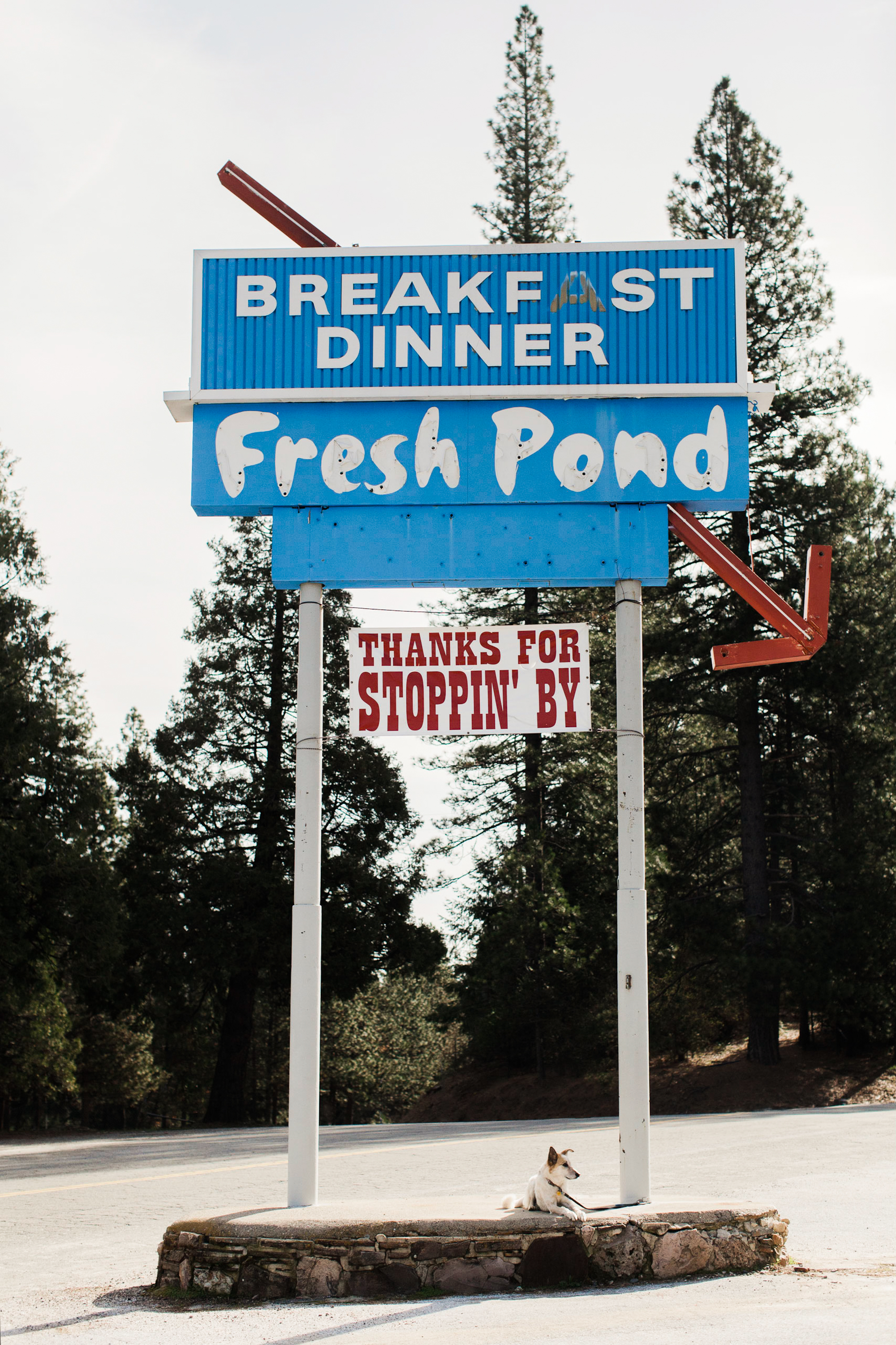50_160319_EileenRoche_EchoLake_013-Edit.JPG
